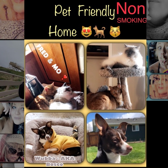 Meet your Posher, Erin - Picture 9 of 16